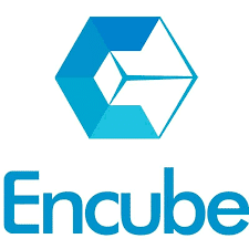 Encube Ethicals Pvt. Ltd.