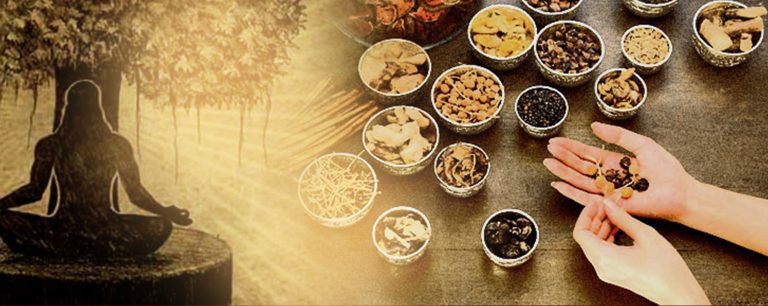 Ayurvedic Companies in Kerala