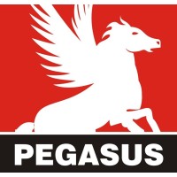 Pegasus Farmaco India Private Limited