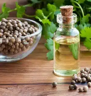 Coriander oil