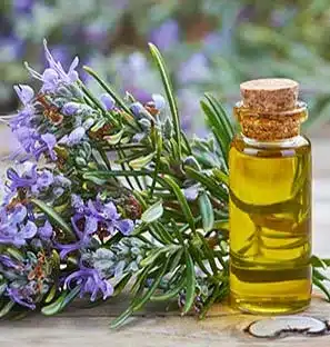 Rosemary Oil