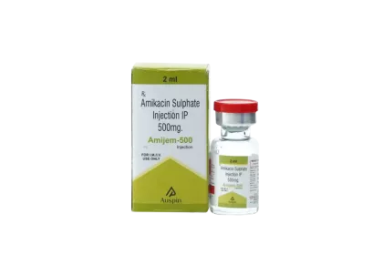 AMIJEM 500 INJECTION