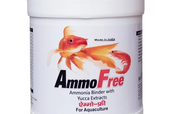 AMMO FREE