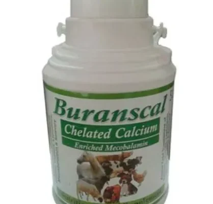Buranscal Chelated Calcium Supplements
