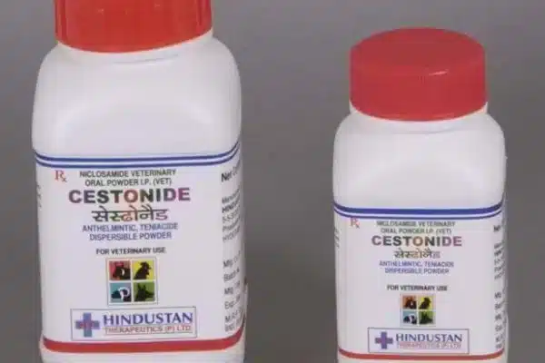 Cestonide Dry Powder