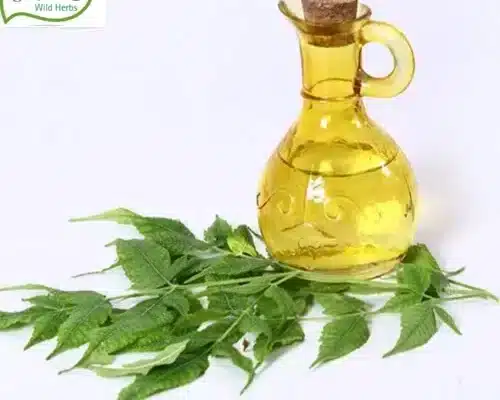 Cold Pressed Neem Oil
