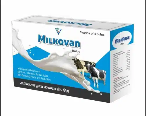 Cow feed supplement