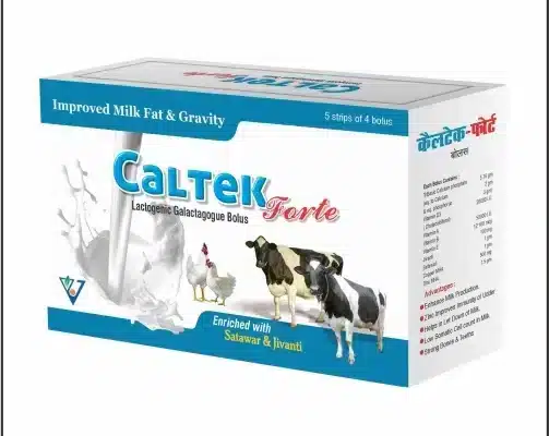 Cow supplement