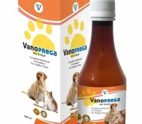 Dog health booster