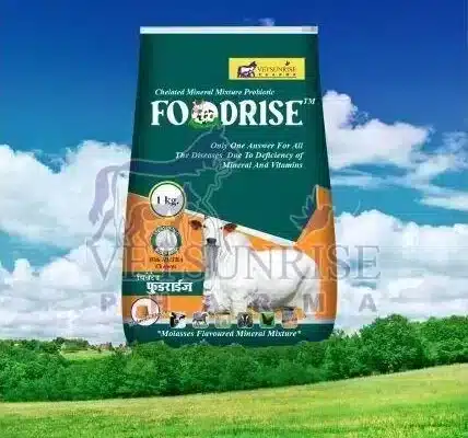 Foodrise Chelated Mineral Mmixture Powder