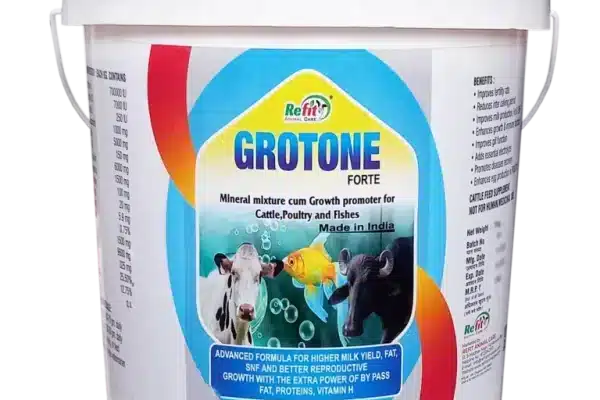 GROTONE