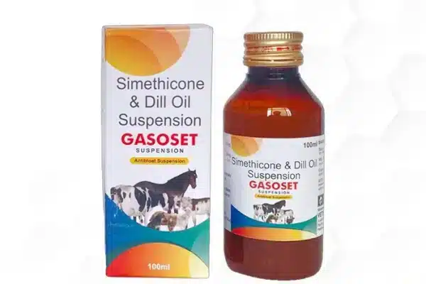 Gasoset