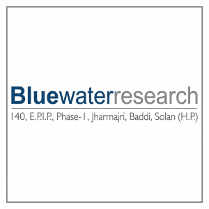 BlueWater Research