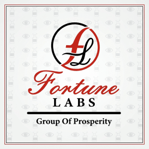 Fortune Labs