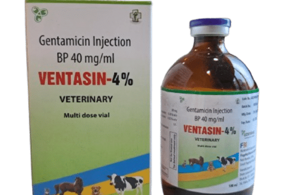 Gentamicin injection