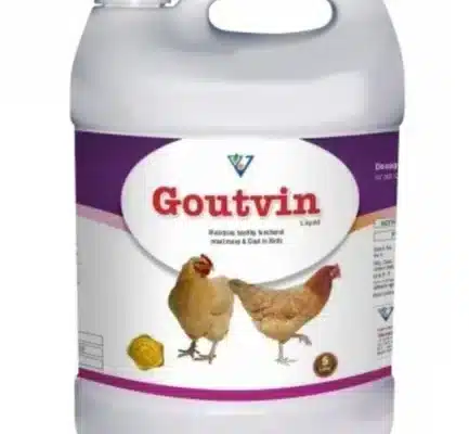Hen Supplement