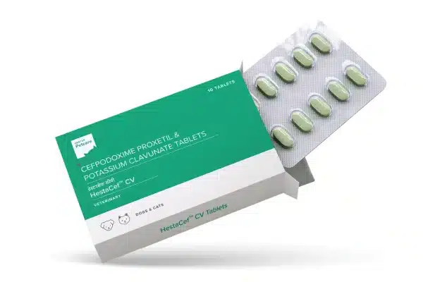HestaCef CV