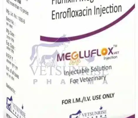 Megluflox Vet Injection