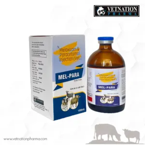 Mel para