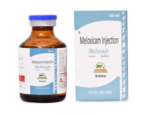 Meloxicam Injection