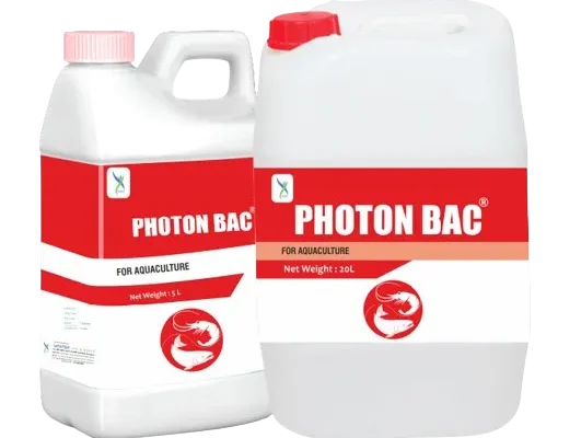PHOTON-BAC