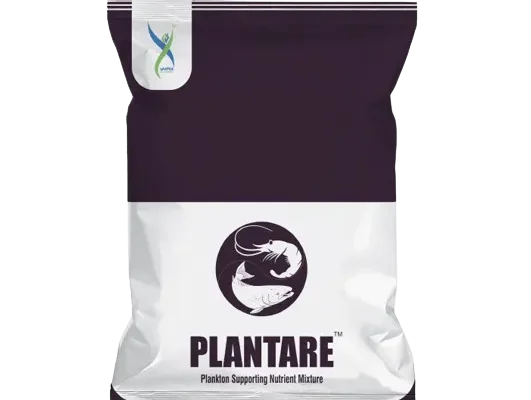 PLANTARE
