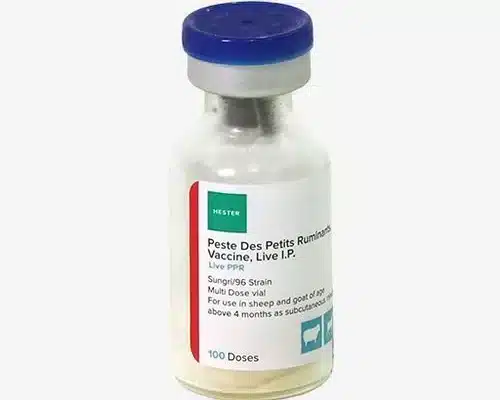 PPR Vaccine