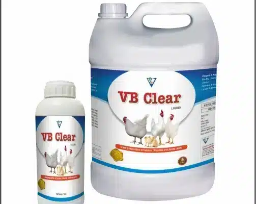 Poultry supplement