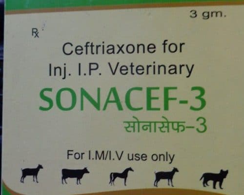 Sonacef Dry Injection