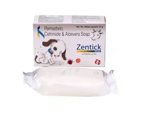 ZENTICK SOAP