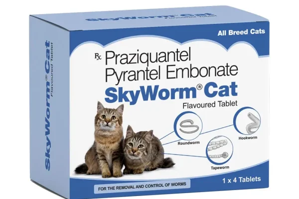 skyworm-cat
